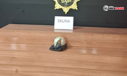 Şanlıurfa'da Yolcu Otobüsüne Operasyon: El Çantasından Çıktı
