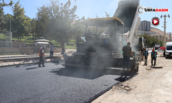Eyyübiye’de Tamamlanan Yollar Asfaltlanarak Ulaşıma Açılıyor