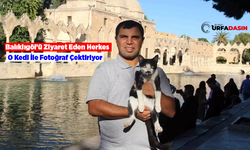 Balıklıgöl'de Kalp Masajıyla Hayata Döndürülen Kedi İlgi Odağı Oldu