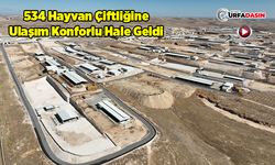 Türkiye’nin En Büyük Besi OSB’sine 20 Kilometrelik Asfalt Yol Ağı