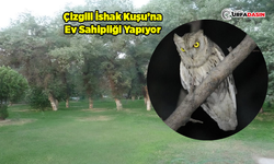 Şanlıurfa'ya Özgü Bir Doğal Alan Daha Koruma Altına Alındı