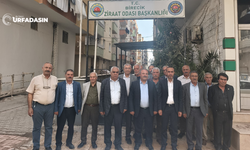 DEM Parti Urfa Milletvekili Ferit Şenyaşar, Fıstık Üreticilerinin Derdini Dinledi