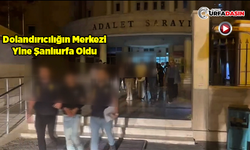 Şanlıurfa Merkezli Sahte İlanla Dolandırıcılık Operasyonu: 5 Tutuklama