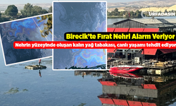 Fırat Nehrin Doğal Dengesini Bozan İşletme, Çevre Felaketine Davetiye Çıkartıyor