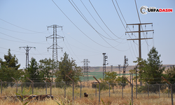 Şanlıurfa’da Elektrik Tüketiminde Rekor Kırdı