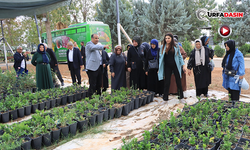 Şanlıurfa’da Tarım Eğitimiyle Emeklilerin Üretkenlikleri Sağlanıyor