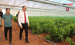 Eyyübiye, Sera Kentte Hem Üretiyor Hem Kazanıyor