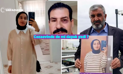 Rojin Kabaiş'e Hakaretler Eden Şanlıurfalı Ferit, Dayak Yedikten Sonra Bakın Ne Demiş