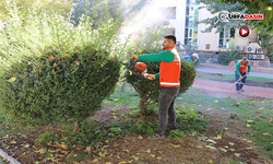 Haliliye’de Yeşil Dönüşüm Devam Ediyor, İlçe Güzelleşiyor