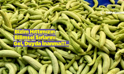 Şanlıurfa'nın Hıttısının Gözden Kaçan Şifa Kaynağı Olduğu Ortaya Çıktı