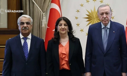Şanlıurfa Milletvekili Mithat Sancar, Erdoğan'a Gidiyor