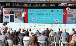 Şanlıurfa’da Kaliteli Pamuk Üretimi İçin "İyi Pamuk Tarla Günü" Etkinliği Yapıldı