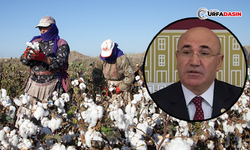 Vekil Tanal, “Kadın Çiftçilerin Hakları Tarım Politikalarının Merkezine Alınmalı”