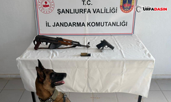 Birecik’te Tüfek ve Tabanca Ele Geçirildi