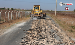 Şanlıurfa'da Yardımcı-Kısas Yolu Sıcak Asfaltla Yenileniyor