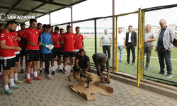 Viranşehir Belediyespor Sezona Kurban Keserek Başladı