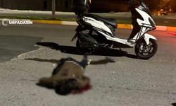 Şanlıurfalı Genç, Bıçaklı Saldırıda Hayatını Kaybetti