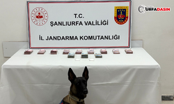 Siverek ve Birecik'te Zehir Tacirlerine Operasyon