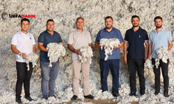 Şanlıurfa'da Cırçır Fabrikalarında Pamuk Alımları Başladı