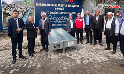 Şanlıurfa’da 400 Hayvan Üreticisine Sıvat Dağıtıldı