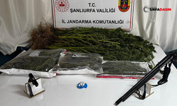 Şanlıurfa’nın Bir İlçesinde Esrar ve Silah Ele Geçirildi