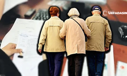 Tapuda 65 Yaş Krizi: Sistemi Kilitledi