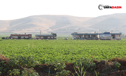 Şanlıurfa’da Tarım Arazilerine Yapılan 65 Yapı İçin 15 Milyon 601 Bin Lira Ceza