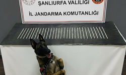 Şanlıurfa’da Bin 200 Narkotik Hap Ele Geçirildi: 3 Gözaltı