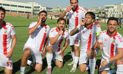 Viranşehir Belediyespor Evinde Kazandı: 1–0