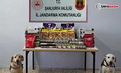 Şanlıurfa'da 3 Ayrı Kaçakçılık Operasyonu