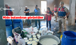 Şanlıurfa Akçakale'de 1,5 Ton Kayıt Dışı Hijyenik Olmayan Yoğurda El Konuldu