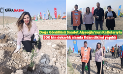 Şanlıurfalı İş insanı Saadet Aişeoğlu'nun Kampanyasıyla Fidanlar Toprakla Buluştu