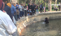 Şanlıurfa'da Çocuğu Balıklıgöl'e Düşen Anne Suya Atlayıp Çocuğunu Kurtardı