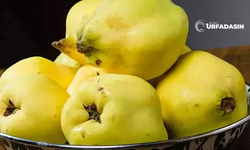 Şanlıurfa'da Ayva Tüketimi Fazla Değil Ama Ayvayı Seçerken Ve Yerken Bunlara Dikkat Edin