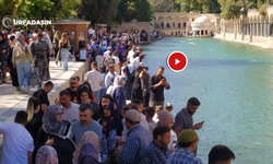 Şanlıurfa'nın Simgesi Balıklıgöl, Ara Tatilde Doldu Taştı