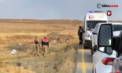 Şanlıurfa'da Yol Kenarında Bir Kişi Ölü Bulundu