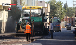 Ceylanpınar’da Yüksek Standartlarda Asfalt Çalışması Yapılıyor