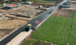 Ceylanpınar İlçe Merkezinde Asfalt Atağı Devam Ediyor