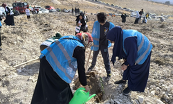 Şanlıurfa'da Geleceğe Nefes Olsun Diye Diyanet Fidan Dikti