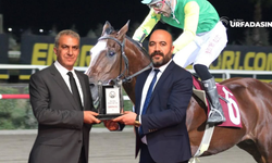Şanlıurfa Yarış Atı Sahibi Emre Yavuz'un Atı Yine Kazandı