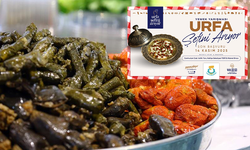 “Urfa Şefini Arıyor” Yarışması Başvuruları Başladı