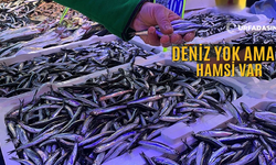 Denizi Olmayan Şanlıurfa'da 1 Günde 5 Ton Hamsi Satıldı