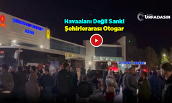 Şanlıurfa'da Umreden Dönenler Böyle Karşılanıyor