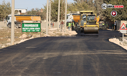 Şanlıurfa'da İmam Bakır Türbesi Yolu, Tamamen Sıcak Asfaltla Yeniledi