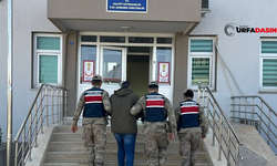 Şanlıurfa Halfeti'de Kasten Öldürmeden Aranan Şahıs Yakalandı