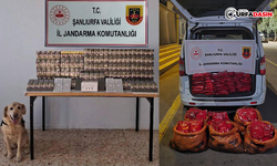 Şanlıurfa’da Jandarmadan İki İlçede Kaçakçılık Operasyonu