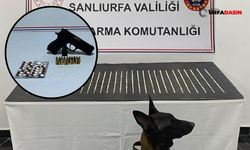 Şanlıurfa'da Bin 200 Narkotik Hap ve Silah Ele Geçirildi: 4 Gözaltı