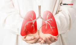 KOAH’ın En Önemli Sebebi Tütün Ürünleri