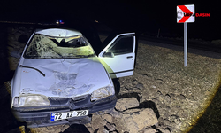 Şanlıurfa'da Yola Çıkan Eşeğe Çarpan Otomobilin Sürücüsü Yaralandı