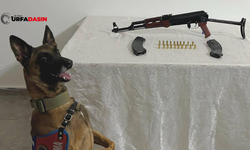 Birecik’te Jandarmadan Silah Operasyonu !